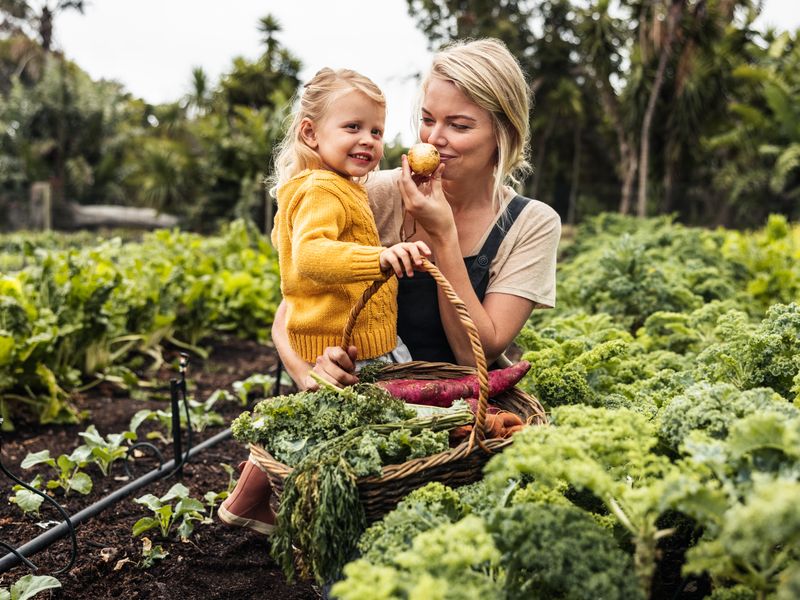 Mutter und Tochter mit einem Korb voller Gemüse im Garten