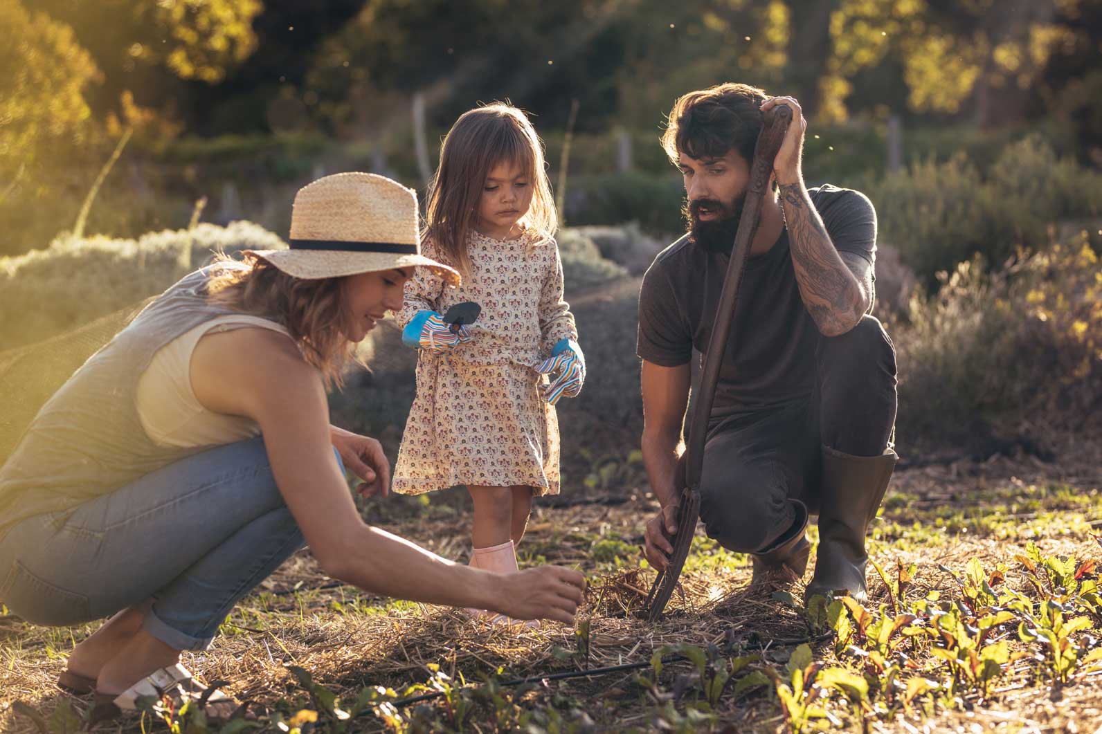 Eine Familie pflanzt gemeinsam Setzlinge im Garten